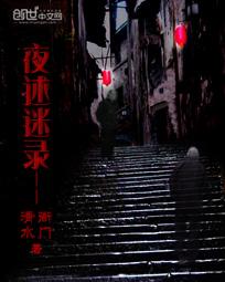 夜述迷录