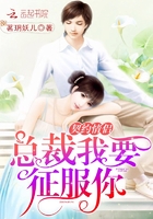 契约情侣：总裁我要征服你生命有你才精彩