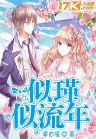 似瑾似流年